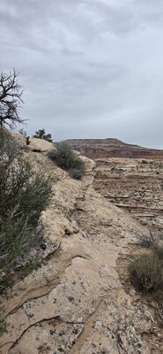 20260906_131939.jpg
