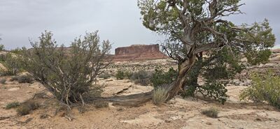 20260906_131946.jpg