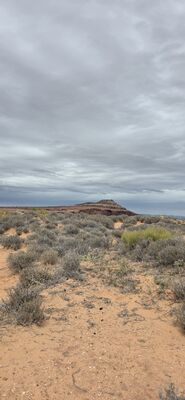 20260906_135807.jpg