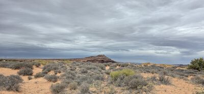 20260906_135811.jpg