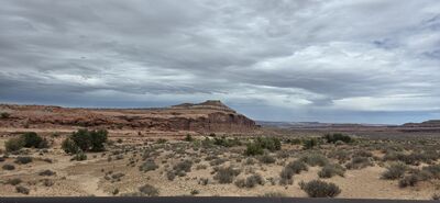 20260906_140109.jpg