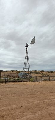 20260906_141341.jpg