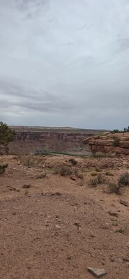 20260906_155235.jpg