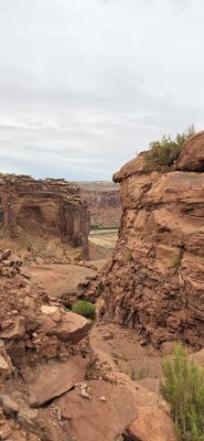 20260906_155649.jpg