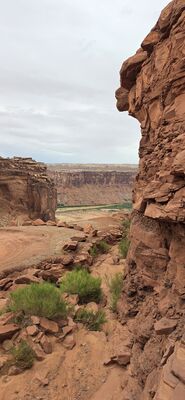 20260906_155752.jpg