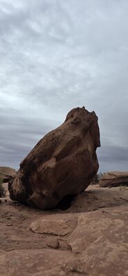 20260906_160721.jpg
