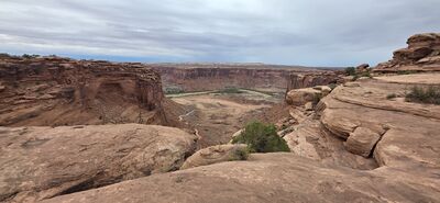 20260906_161020.jpg