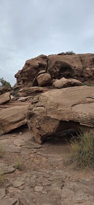 20260906_161357.jpg