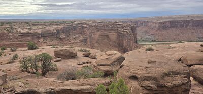 20260906_161548.jpg