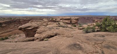20260906_164712.jpg