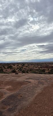 20260906_170536.jpg