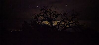 20260906_230139.jpg