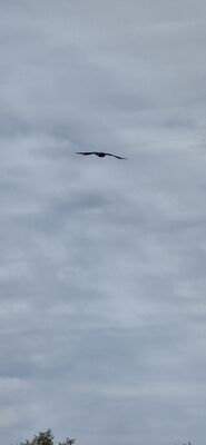 20260907_110050.jpg