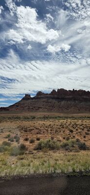 20260907_121548.jpg