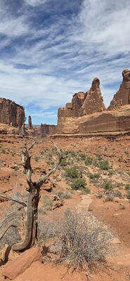 20260907_132220.jpg