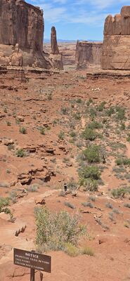 20260907_132410.jpg