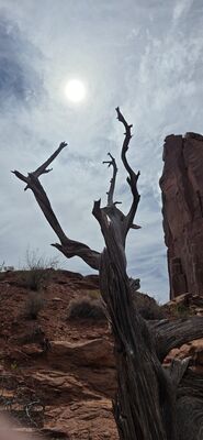 20260907_132625.jpg