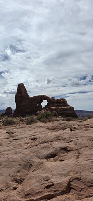20260907_142339.jpg