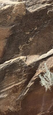 20260907_153844.jpg