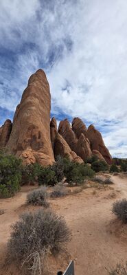 20260907_162505.jpg