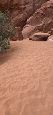 20260907_162946.jpg