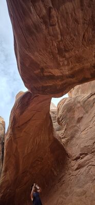 20260907_163547.jpg