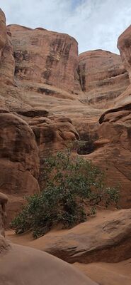 20260907_164046.jpg