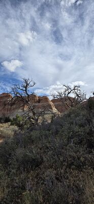 20260907_172659.jpg