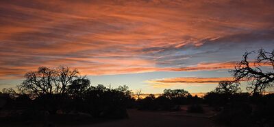 20260907_194935.jpg