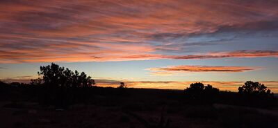 20260907_195039.jpg
