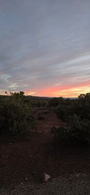 20260907_195511.jpg