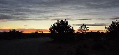 20260907_195630.jpg