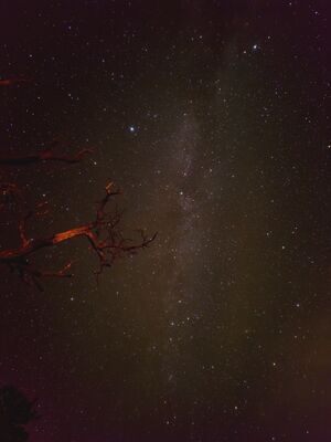 20260907_221146.jpg