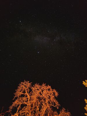 20260907_225129.jpg
