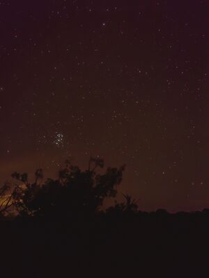20260907_234055.jpg