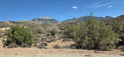 20260908_141852.jpg