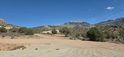 20260908_141854.jpg