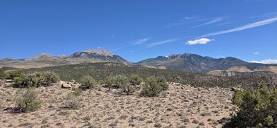 20260908_142356.jpg