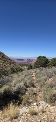 20260908_150329.jpg
