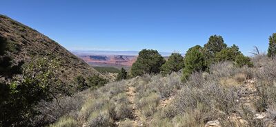 20260908_150333.jpg
