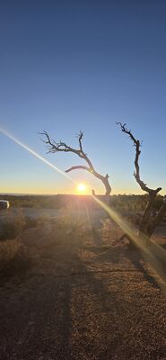 20260908_192037.jpg