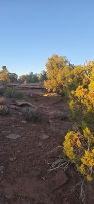 20260908_192221.jpg