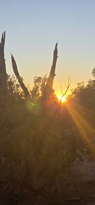 20260908_193249.jpg