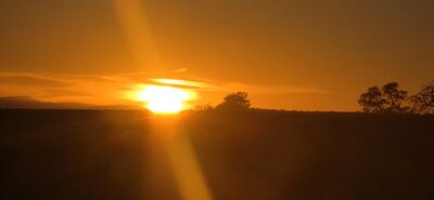 20260908_193621.jpg