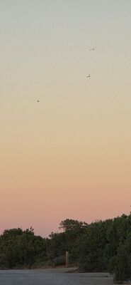 20260908_193800.jpg