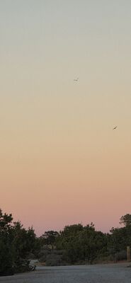 20260908_193802.jpg