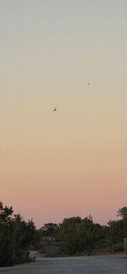 20260908_193803.jpg