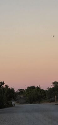 20260908_193809.jpg