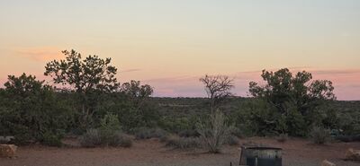 20260908_193840.jpg