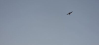 20260908_193843.jpg